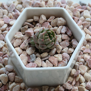 Grava Amarilla Redondeada Decorativa en Oferta, Grava Natural Lisa para Jardín, Camino, Patio, Piscina, Paisajismo - Product Image 4