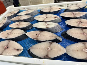 سمك الماكريل الإسباني المجمد الطازج عالي الجودة، شرائح ماكريل درجة أولى - Product Image 4