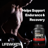 LIFEWORTH Poudre de protéine de lactosérum d'isolat musculaire de musculation directe d'usine
