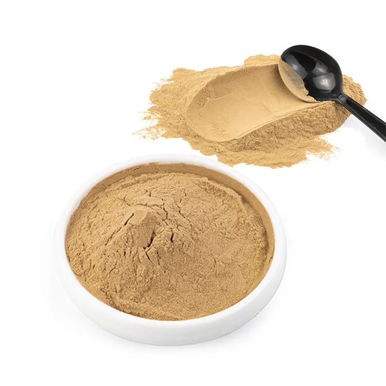 Wholesale price guarana powder Guarana Seed Extract 22% Caffeine Powder