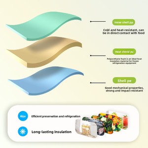 Подгонянный 10 л изолированный полиуретановый кулер с водостойкой функцией для автомобильного кемпинга и хранения продуктов, OEM-обработка - Product Image 2