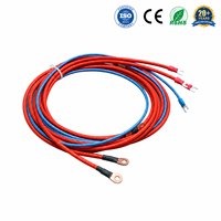 Rangkaian Kabel Baterai Penyimpanan Energi Khusus dengan Terminal Ring Lug ke Fork untuk Sistem EV, Solar, dan UPS