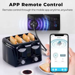 MT-1539MN Homekit Matter Smart Home <b>Universal</b> 2 Gang Matter WiFi Industrial Wall <b>Socket</b> with Glass Panel Apple Home Smartthings - Product Image 5