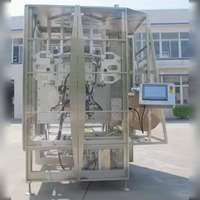 Sac à fermeture éclair automatique faisant la machine de remplissage et d'étanchéité de pesage