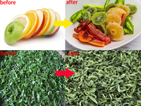 Industriële Commerciële Drank Voedsel Dehydrator/Groente Fruit Droogmachine/Fruit Groente Droger Leverancier