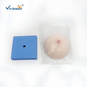 Modèle <span class=keywords><strong>de</strong></span> <span class=keywords><strong>sein</strong></span> féminin en silicone grandeur nature avec base pour la formation des consultants en lactation CE ISO ROHS CNAS - Product Image 2