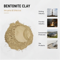 Poudre de bentonite de sodium à haute viscosité pour applications de forage et de revêtement, grade à haute expansion et haute rétention d'eau