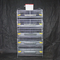 Cage à caille moderne à 5 niveaux Cages à batterie pour poules pondeuses