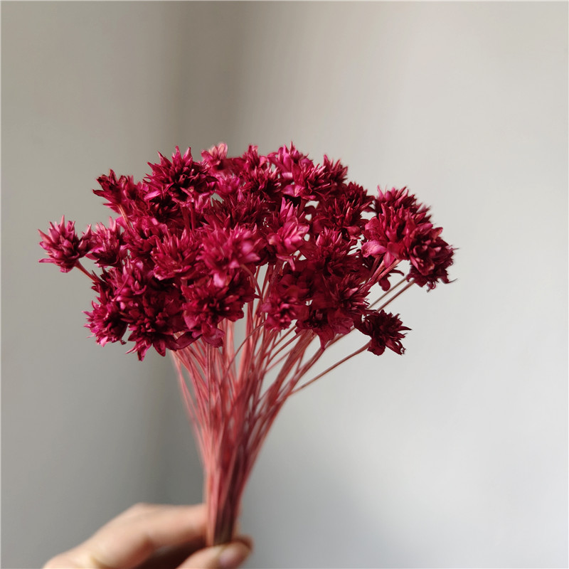 Rose red
