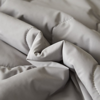 Couette d'été rafraîchissante effet climatisant 90% Nylon + 10% Spandex Rembourrage en fibre de polyester antibactérienne Style minimaliste moderne