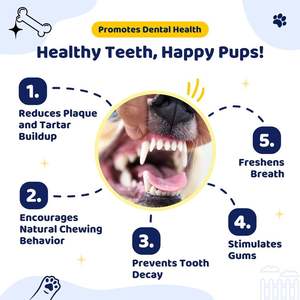 Interaktif köpek çiğnemek dayanıklı köpek oyuncaklar komik Bite dayanıklı kabuk dalga yüzük kauçuk oyuncak Pet eğitim köpek dişleri için temiz çiğneme - Product Image 3