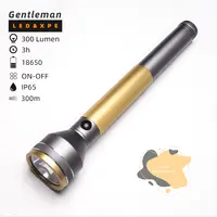 Malaysia Factory Torchlight, High Quality Torch Lights