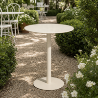 Table de bistrot ronde moderne en fer pour l'extérieur, table d'appoint en métal antirouille pour jardin, hôtel, balcon, restaurant