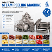 CE-gecertificeerde industriële stoomschilmachine voor het schillen van groenten en fruit, geschikt voor aardappel, cassave, tomaat, perzik en druiven.