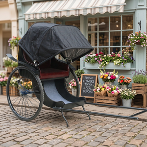 Rickshaw rétro traditionnel à deux roues, tricycle urbain à traction manuelle, en promotion - Product Image 1