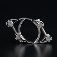 Collier de serrage super robuste en acier inoxydable 304ss à double boulons et double bande pour tuyau