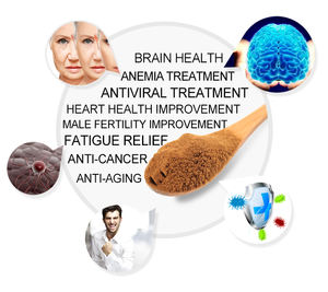 FocusHerb - Extracto de Resina de Shilajit Puro y Natural en Polvo, 50% de Ácido Fúlvico - Product Image 3