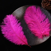 Plumes d'autruche roses moelleuses de haute qualité de 15-20 cm (6-8 pouces) pour décorations de fête, motif teinté