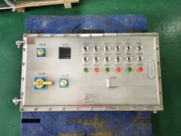 Boîtier de commande d'éclairage antidéflagrant Ex d Ex E DC48V 36V 24V IP66 pour systèmes de contrôle, installations industrielles, pétrole et gaz