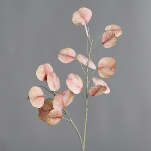 K Factory Wholesale Artificial <strong>Eucalyptus</strong> Leaves Branch Silver Dollar Leaves Apple Leaf <strong>Big</strong> Wedding Decoration Indoor Simulation - Product Image 6