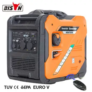 Bizon Dual Fuel Remote Start 5kw 5kva 5.5kw Super Stille Lpg Inverter Generator Voor Thuisgebruik