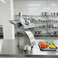 Commerciële automatische diepvriesvlees-snijmachine voor het snijden van vlees, fruit, groenten en aardappelen in blokjes