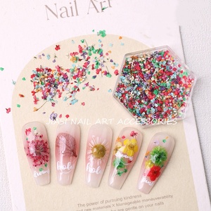Los últimos productos para <span class=keywords><strong>uñas</strong></span> <span class=keywords><strong>Flores</strong></span> secas Mini Real Natural Flower 3D Nail Charms - Product Image 4