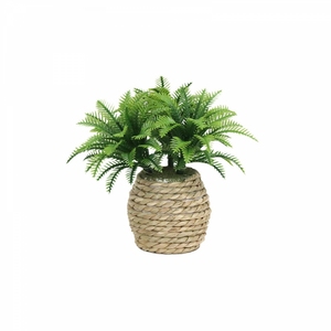 Palma di Cocco Artificiale Realistica con <span class=keywords><strong>Vaso</strong></span> - Mini Pianta di Palma in <span class=keywords><strong>Vaso</strong></span>, Finta Palma di Cocco per Decorazione <span class=keywords><strong>da</strong></span> Tavolo Interna - Product Image 2
