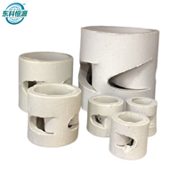Anneaux de remplissage en céramique Pall de 50 mm pour colonnes de séchage, de lavage et d'absorption – Service de découpe sur mesure disponible