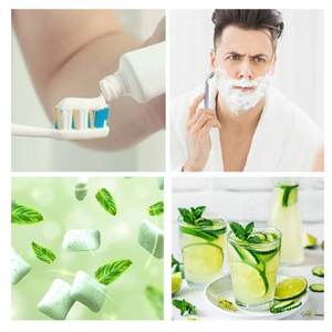 Agente refrigerante Aditivo alimentario Sabores de menta CAS 51115-67-4 Polvo de menta para dulces de menta de 1/2" - Product Image 5