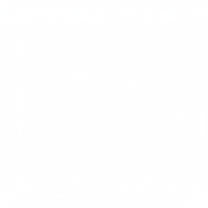 Fabricant d'élite de pièces de vannes rotatives en acier inoxydable DH55, vente en gros de vannes hydrauliques - Product Image 1