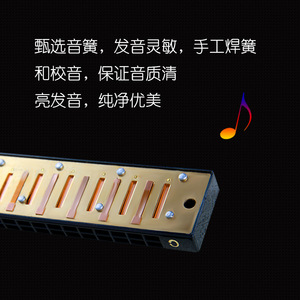 Armónica tremolo Feifan de 24 orificios en clave de Do, órgano de boca metálico para principiantes y adultos - Product Image 2