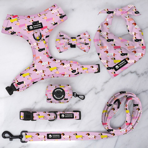 Accesorios de Lujo para Cachorros con Diseño de <span class=keywords><strong>Dachshund</strong></span>, Collar Personalizado para Perro, Conjunto de Arnés y Correa Personalizados para Mascotas - Product Image 3