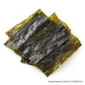 TW Laver PDRN 100ppm – Concentré de Polynucléotides de Haute Pureté à Base de Plantes Marines pour la Réparation Professionnelle de la Peau - Product Image 4