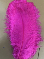 Gold DIY Craft 70-75cm groß groß weiß schwarz Herzstück Feder natürliche Straußen federn für Home Carnival Hochzeits feier Dekor