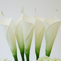 Dekorasi bunga Hydrangea Calla Lily buatan, karangan bunga dengan vas kaca bening dan air