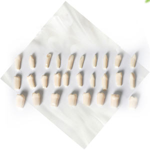 Dentaduras frontales de resina sintética, dentaduras postizas, dentaduras de resina acrílica, Dental, Multi capa, CE ISO - Product Image 6