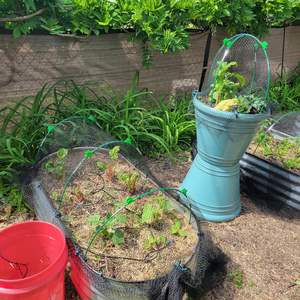 HDPE Farm Fruit Tree Anti Bird Netting <strong>Garden</strong> Greenhouse Vegetable Plants Protection Cover Mesh - Product Image 5