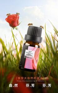 <strong>Wholesale</strong> Living Room <strong>Fragrance</strong> 6*10 ml Bottles for <strong>Oils</strong> Essentials Water Soluble Bedroom Bathroom Car Diffuser Essential <strong>Oil</strong> - Product Image 3