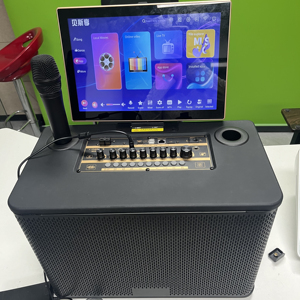 Machine de <span class=keywords><strong>karaoké</strong></span> professionnelle pour la maison, lecteur de musique sans fil WiFi, stockage 500 Go, écran tactile, design portable pour les fêtes - Product Image 1