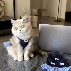 Yazlık İlkbaharlık Hafif Polyester Modern Sevimli Evcil Hayvan Kedi Köpek Elbisesi Yalama Önleyici-Toptan Özel - Product Image 6