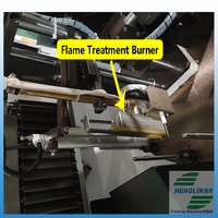 Pistolet de traitement de flamme 250mm avec bougie d'allumage système d'allumage automatique pour pp/pe/hdpe UV Spray écran de tampographie