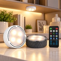 Lampes LED sans fil pour armoire avec télécommande, 16 couleurs RVB, 3 températures de couleur, variateur d'intensité, minuterie, fonctionne sur piles