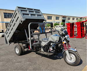Tricycle cargo bleu à 3 roues avec benne hydraulique pour transport lourd - Product Image 3