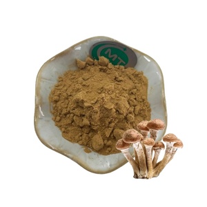 Extracto de hongo de alta calidad Extracto de hongo de miel 30% Polisacáridos <span class=keywords><strong>Armillaria</strong></span> <span class=keywords><strong>Mellea</strong></span> Extracto - Product Image 1