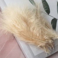 Plumes de coq colorées de haute qualité en gros, 3-5 pouces, mélange de couleurs, plumes de coq à vendre