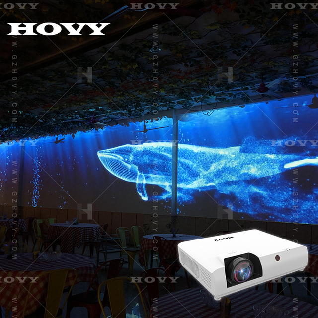 HOVY Indoor Holographic Immersive Dining Projector System Portable Interactive Wall Projection for