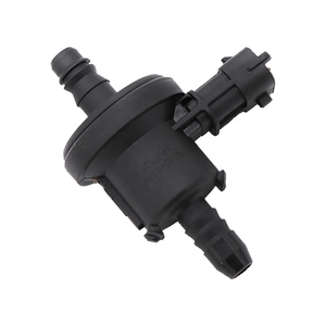 Vanne solénoïde de purge de canister à vapeur BV619G866AA 0280142500 BV61-9G866-AA pour vanne de purge EVAP Ford Lincoln - Product Image 2