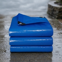 Bâche en PE robuste et imperméable en rouleau, pour auvent, bateau, camion, abri pour animaux, vente en gros, fournisseur d'usine YRH