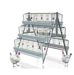 Volaille galvanisée à chaud utilisant la cage de poulet de type couche A à 3 niveaux et 4 niveaux à vendre